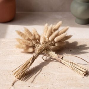 Dried Botanical Bundle