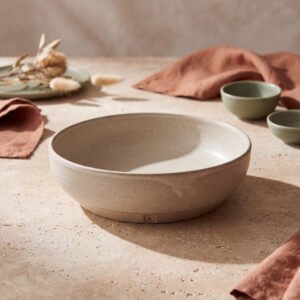 Matte Stoneware Dinner Bowl